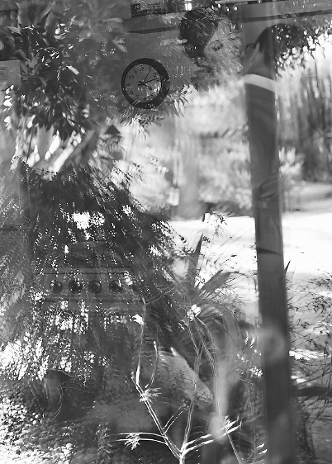  photo 0090_zpsfe9a567b.jpg