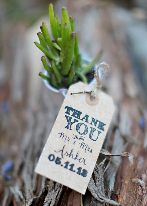  photo G05A0040_zpsf1bc756f.jpg