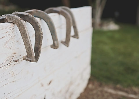  photo G05A0053_zps2083596c.jpg