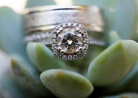  photo G05A9503_zps8b82804a.jpg