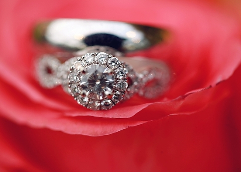  photo IMG_9424_zps361010e3.jpg